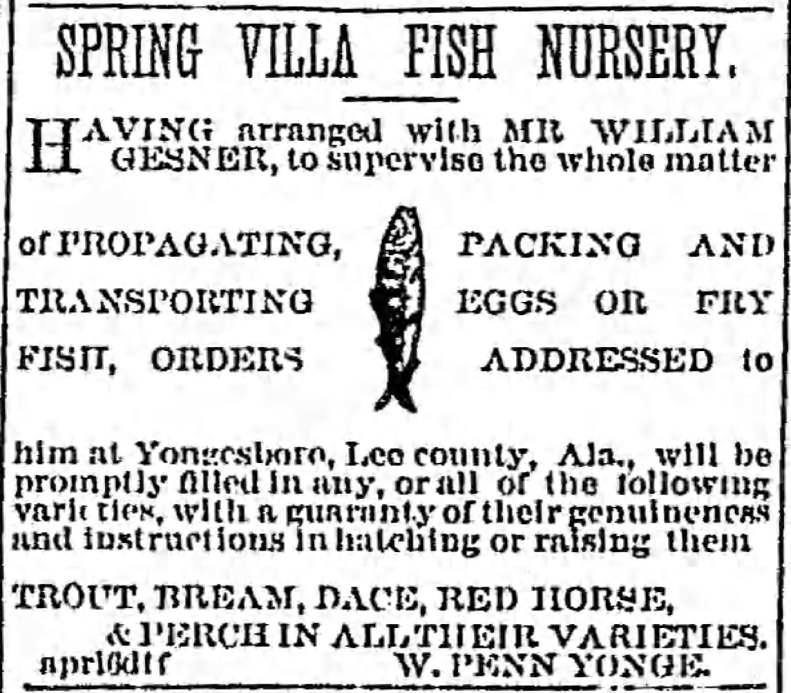 Newspaper ads